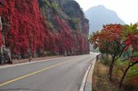 百里山水画廊风景区