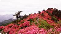 大珠山景区