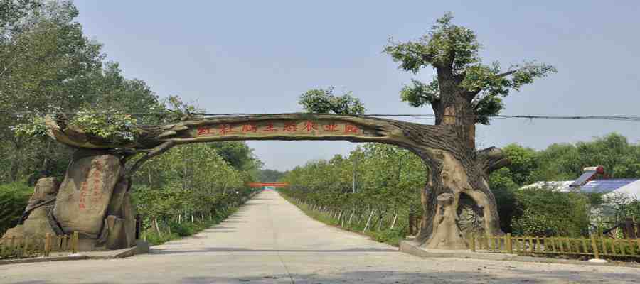 南京红杜鹃农业生态园门票_南京红杜鹃农业生态园_红