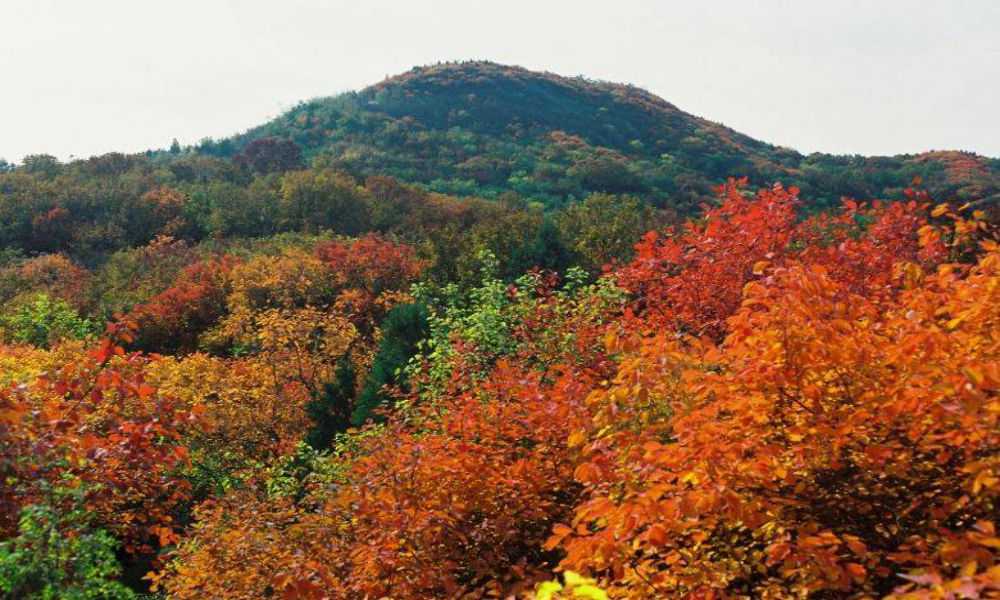 百望山森林公园门票_北京百望山森林公园_北京百望山